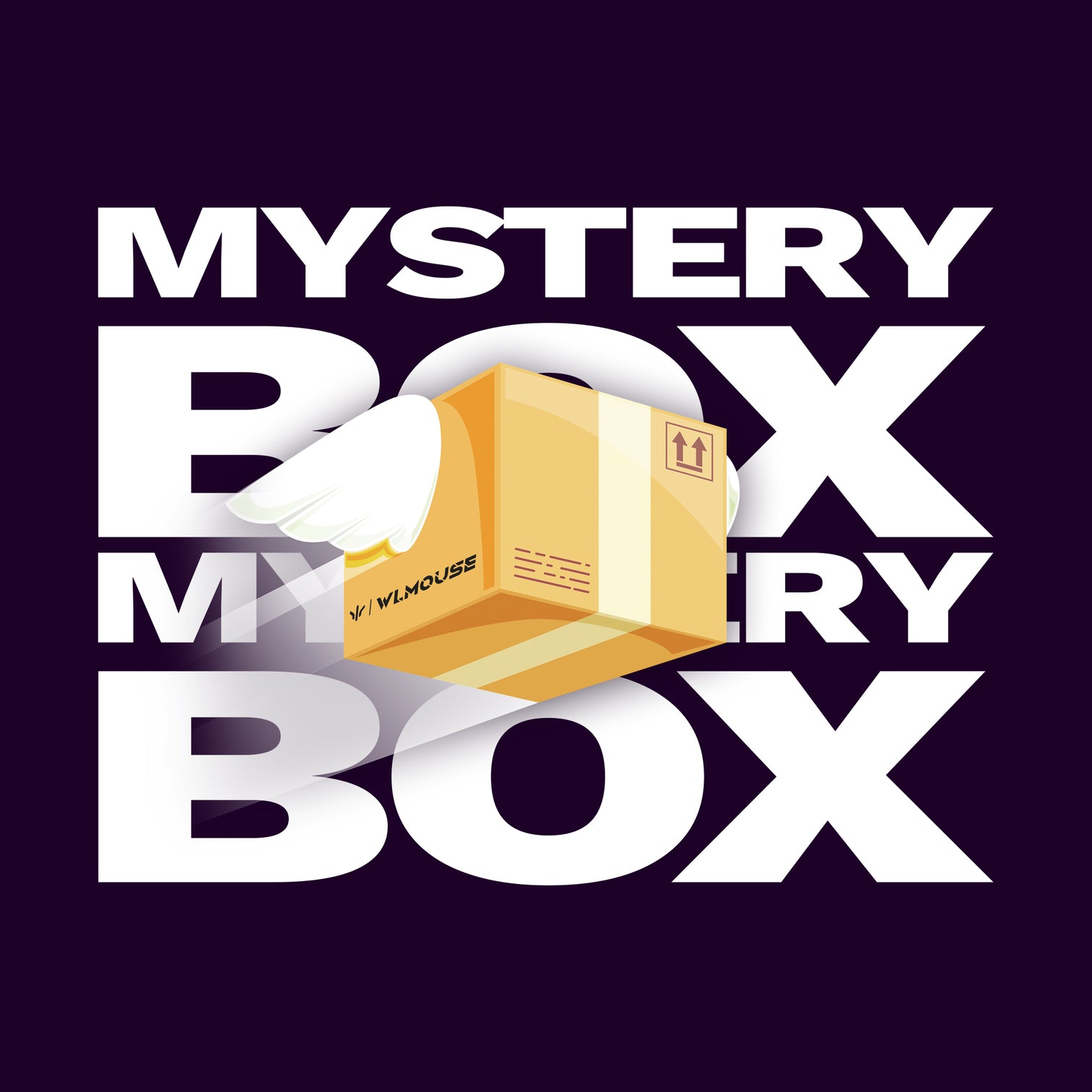 WLMOUSE Mystery Mouse Box