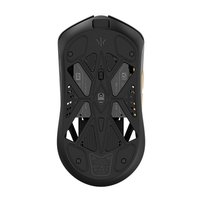 Beast X V2 Med × TheShy - Black / Gold
