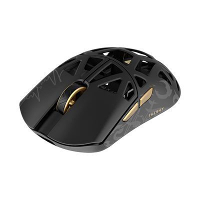 Beast X V2 Med × TheShy - Black / Gold