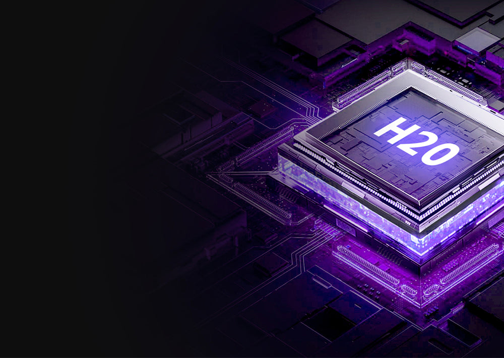 Nordic H2O Chip