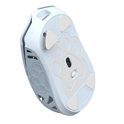 PTFE Skates for Miao