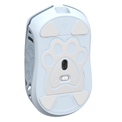 PTFE Skates for Miao