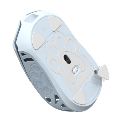 PTFE Skates for Miao