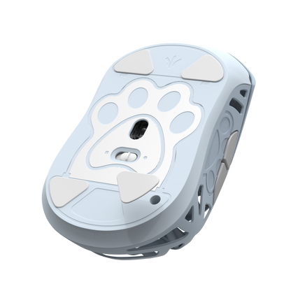 PTFE Skates for Miao