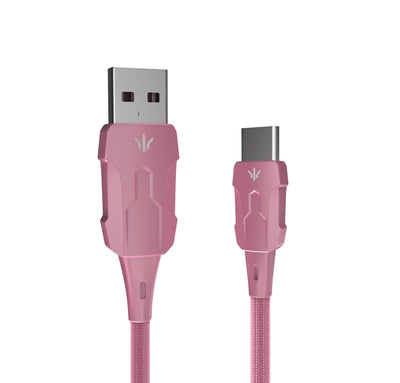 USB-C Cable